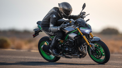 كاواساكي Z900، Z900 SE 2025 ديديداه – تيريما بيروهان جايا، كيلينجكابان دينيك تاراف